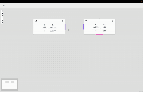 Genetic cross designer in action